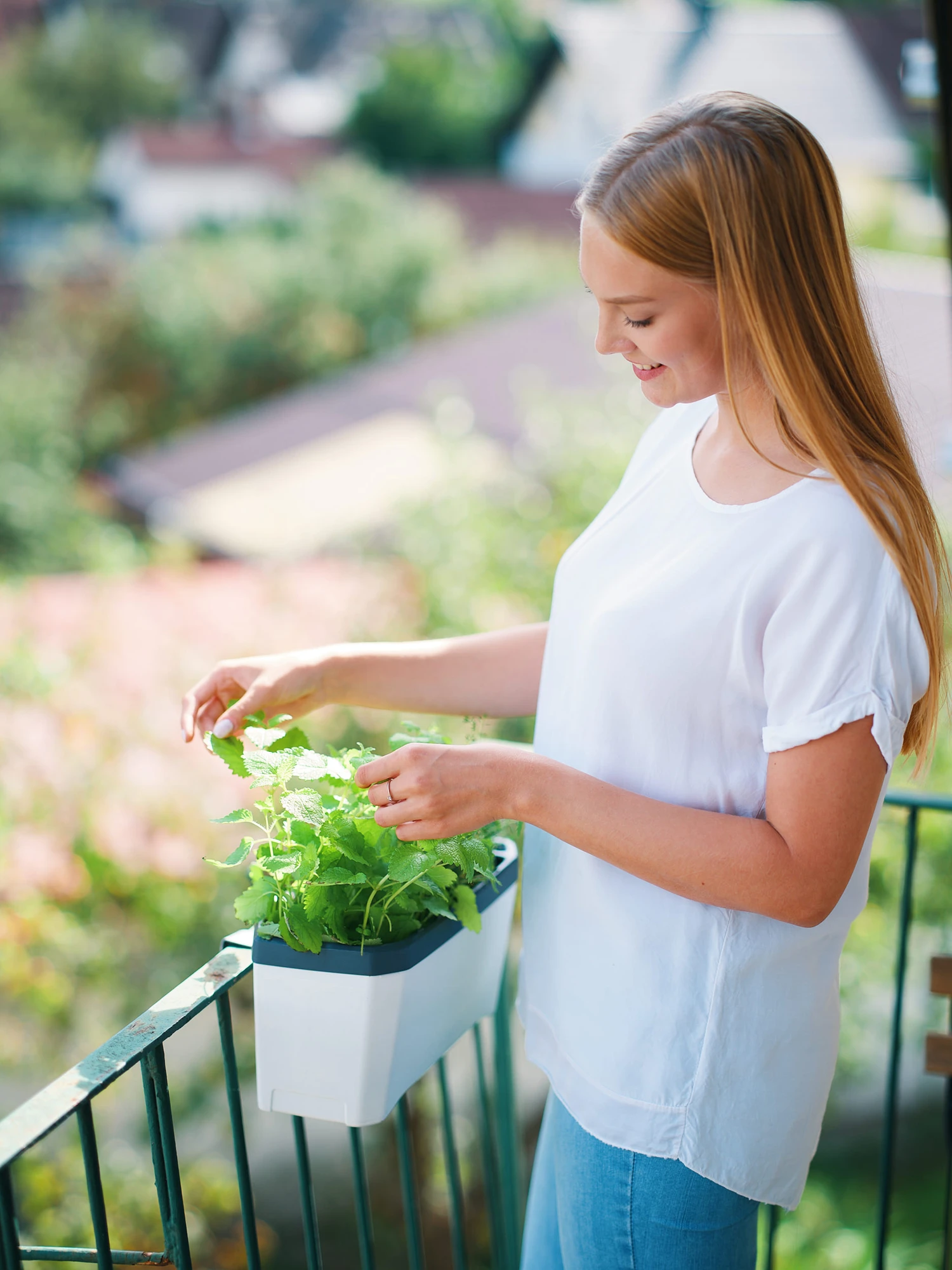 HARRY HERBS Weiß Ohne Haube | Kräutertöpfe Von Gusta Garden 2 HARRY HERBS Weiß Ohne Haube | Kräutertöpfe Von Gusta Garden