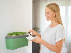 HARRY HERBS Dunkelgrün Ohne Haube | Kräutertöpfe Von Gusta Garden -Angebote Samen Zauber Store 560339 HARRY HERBS dunkelgruen ohne Haube 103B20 gg 3