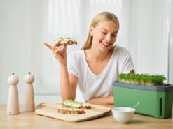 HARRY HERBS Dunkelgrün Ohne Haube | Kräutertöpfe Von Gusta Garden -Angebote Samen Zauber Store 560339 HARRY HERBS dunkelgruen ohne Haube 103B20 gg 5