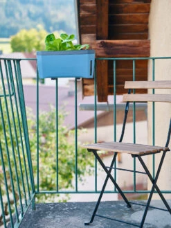 HARRY HERBS Kräutertopf Blau | Kräutertöpfe Von Gusta Garden -Angebote Samen Zauber Store 560340 HARRY HERBS blau 104B10 gg 7