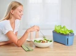 HARRY HERBS Kräutertopf Blau | Kräutertöpfe Von Gusta Garden -Angebote Samen Zauber Store 560340 HARRY HERBS blau 104B10 gg 8