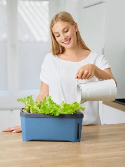 HARRY HERBS Blau Ohne Haube | Kräutertöpfe Von Gusta Garden -Angebote Samen Zauber Store 560341 HARRY HERBS blau ohne Haube 104B20 gg 1