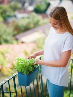 HARRY HERBS Blau Ohne Haube | Kräutertöpfe Von Gusta Garden -Angebote Samen Zauber Store 560341 HARRY HERBS blau ohne Haube 104B20 gg 4