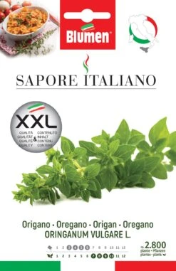 Oregano | Oreganosamen Von BLUMEN Group