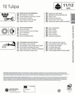 Angebote Samen Zauber Store -Angebote Samen Zauber Store 562135 Gefuellte Fruehe Tulpen Foxtrot Mischung 12 Stueck 507722 1